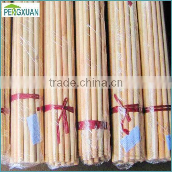 eucalyptus wooden mop pole