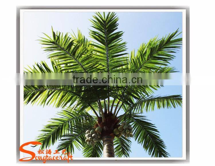 Preserved and Replica Trees plam data tree