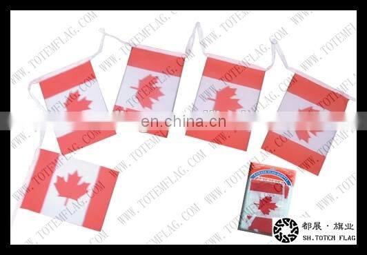 Decorative outdoor flags , Durable String Flags , Bunting National Flag