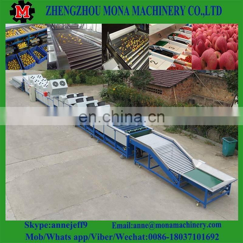 Fruit grading calibration size machine