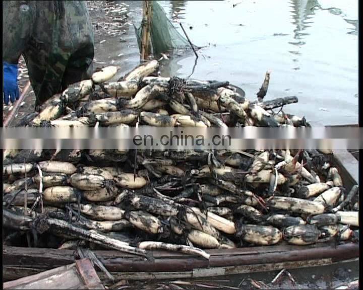 high-efficienct lotus root digger machine and lotus harvester machine