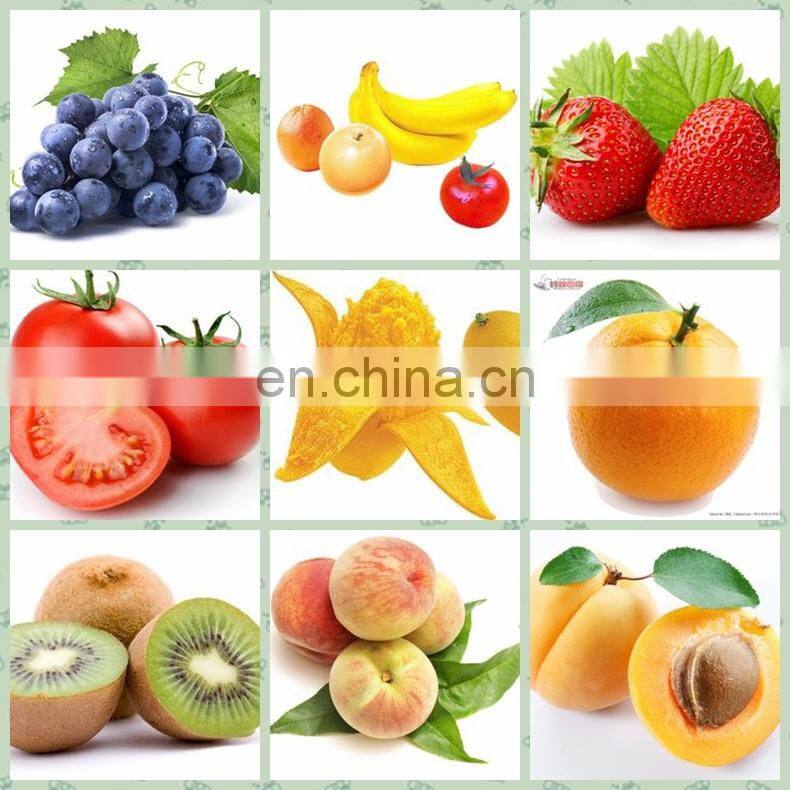 Small Fruit Juicer Extractor Tomato Mango Pulping Processing Maker Banana Pulp Juice Making Machine