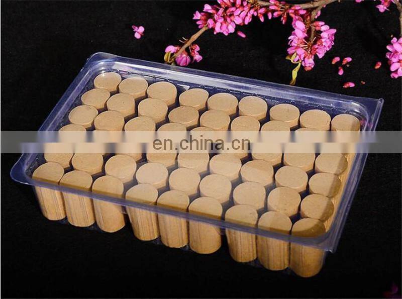 20*33mm 5 years Chen Ai-chu moxibustion moxa Nanyang pure wormwood moxa leaves 54pcs moxa stick acupuncture massage Health care