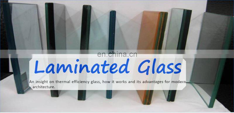 Tempered Laminated Glass/Building Glass with High Quality and Safety