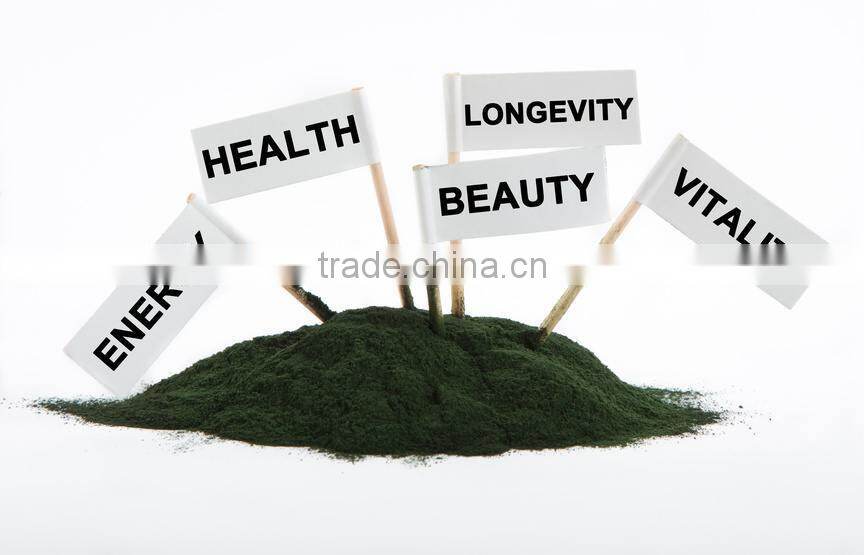 herbal spirulina powder for body fitness