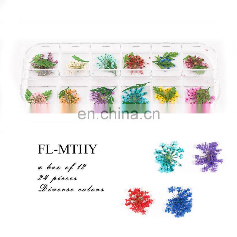 Dry Flower Nail Digit Nail And Smart Flower Printer