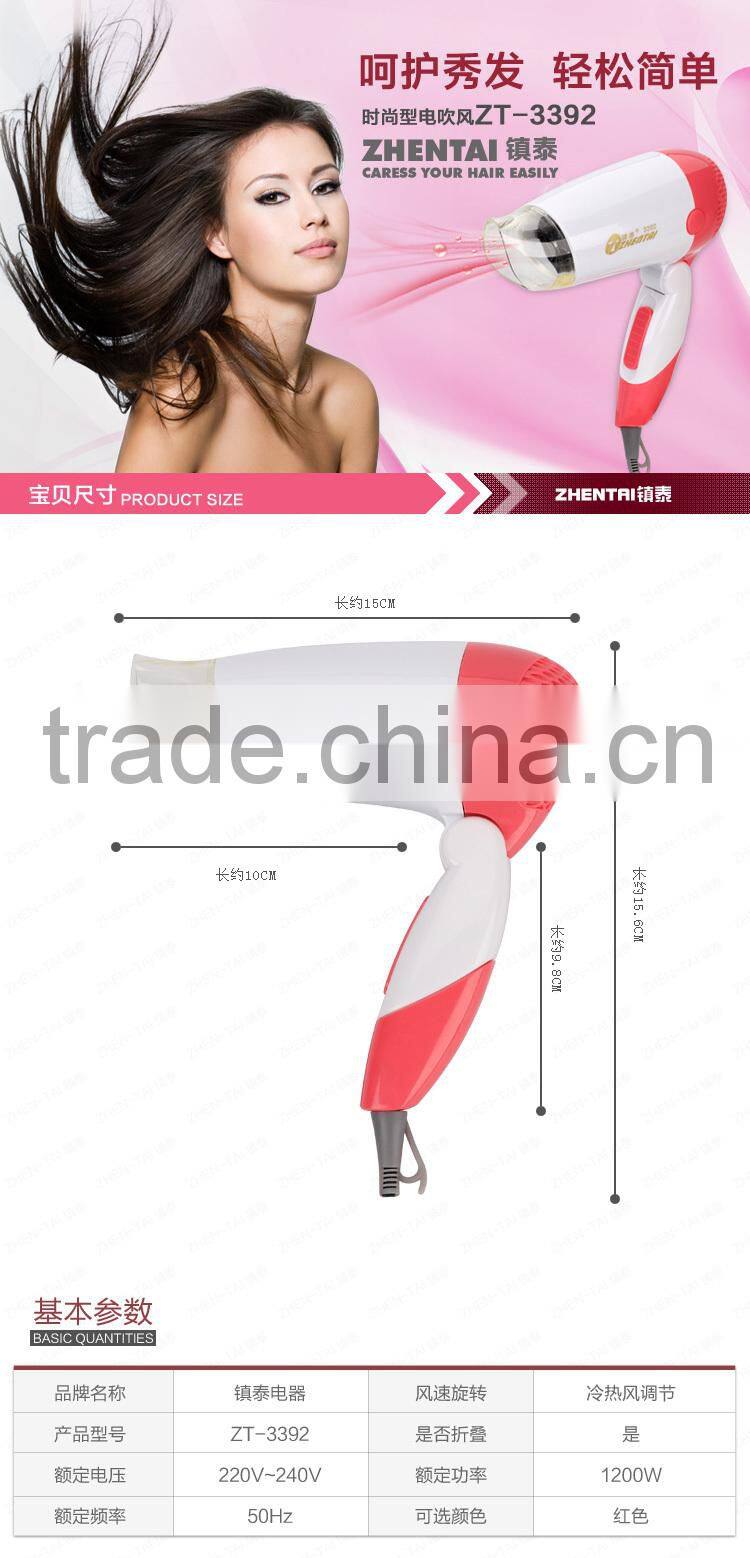 Electric Motor Blower Anion Hair Dryer 2015