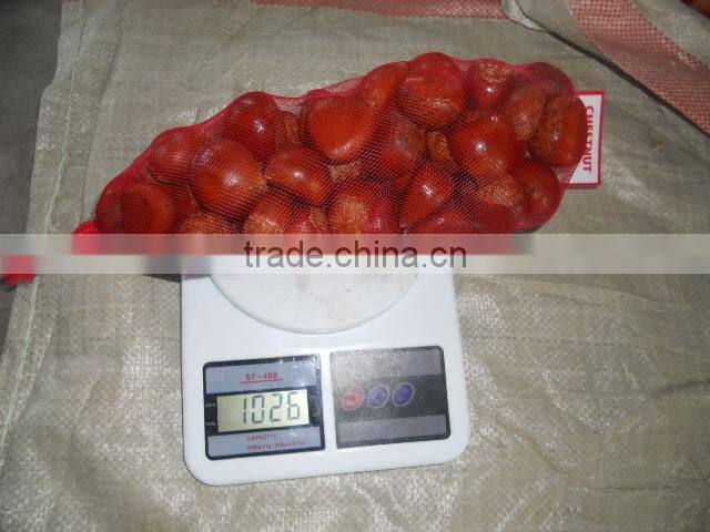 2015 new crop of the chestnut with highest quality