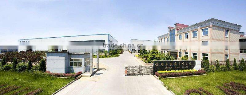 Glass curtain wall with hanging tempered glass CCC EN12150 ISO9001
