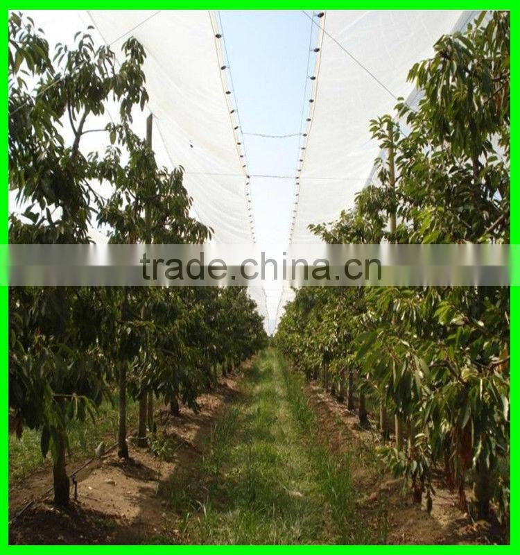 100% virgin with UV treated woven transparent pe cover,cherry anti acid protection cover