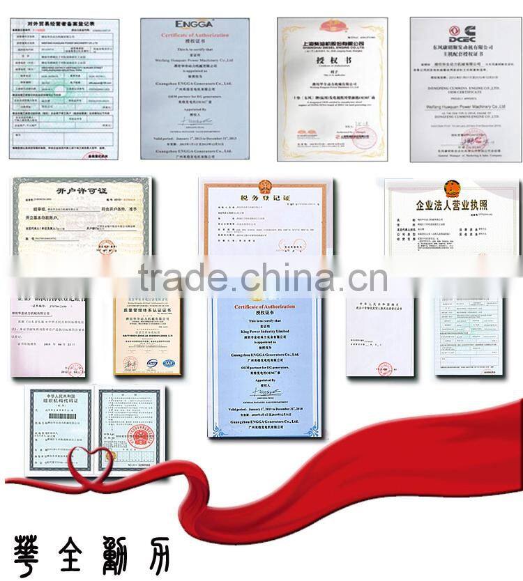 CE Approve small power biogas generator 50kw