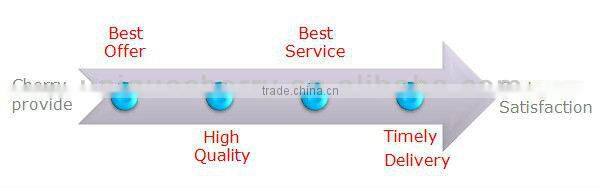 Custom metal trophies