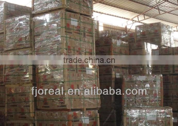 Digital Wall Tile 300x600mm for Exterior