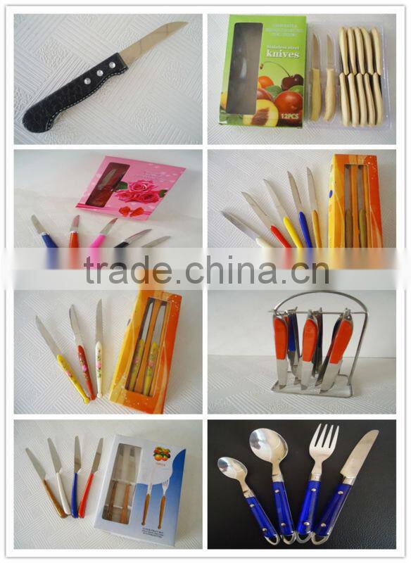 12 PCS Hot Sale Colour Box Leather PP Handle Sharp Knife Set