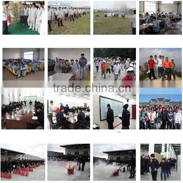 800L/1000L Pepsi Commercial 2 Glass Door Display Beverage Cooler & Freezer Beverage Showcase Bottle Cooler