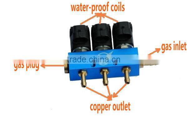 CNG fuel injector rail / rail injectors for lpg cng