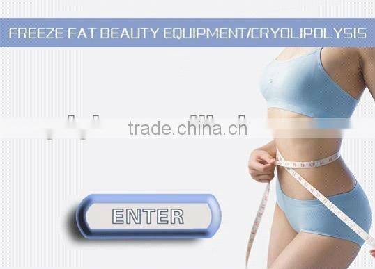 New arrival!!! Cryolipolysis fat reduction machine/cavitation body slimming machine