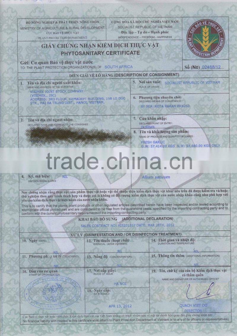 WHITE GARLIC FROM VIETNAM (SKYPE: VISIMEX10)