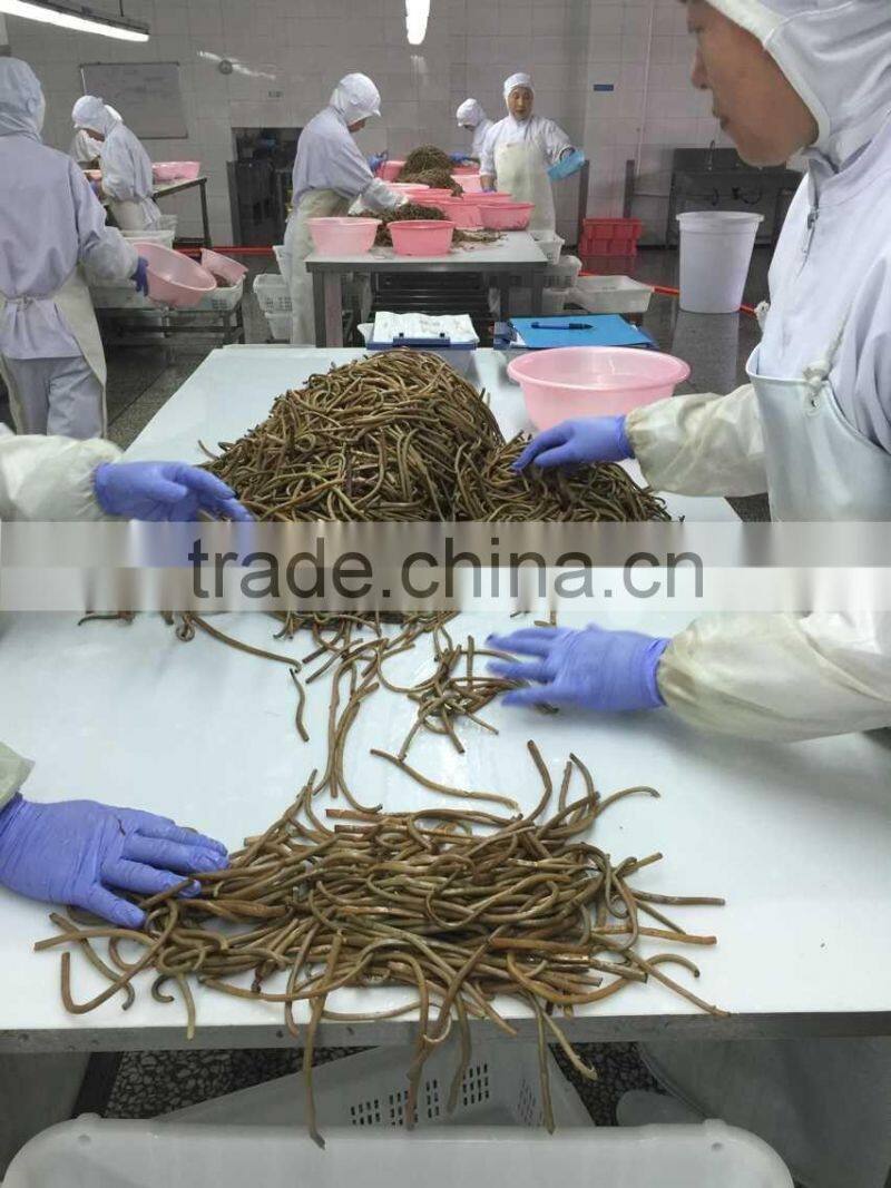 Chineses' osmunda cinamomea cinamomea in promotion vetch boiled osmund Japan osmunda cinamomea