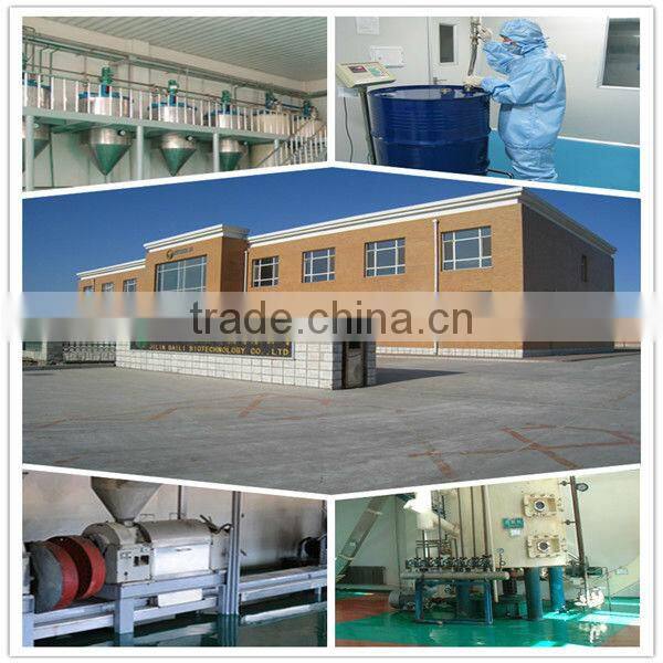 Health Care Pumpkin Seed Oil