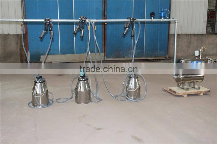 5 Milking Clusters Milking Machine For Sale With 550L Vacuum Pump