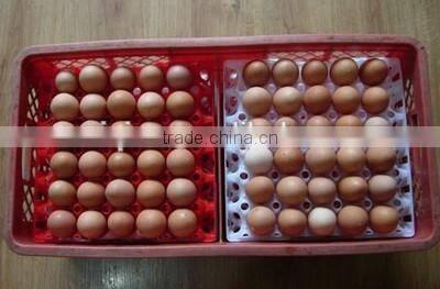 cheap price 30 eggs tray for market