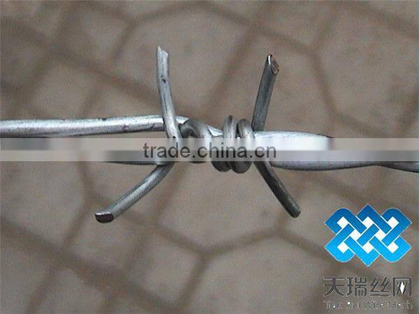 barbed wire /stainless steel razor barbed wire/flat razor wire