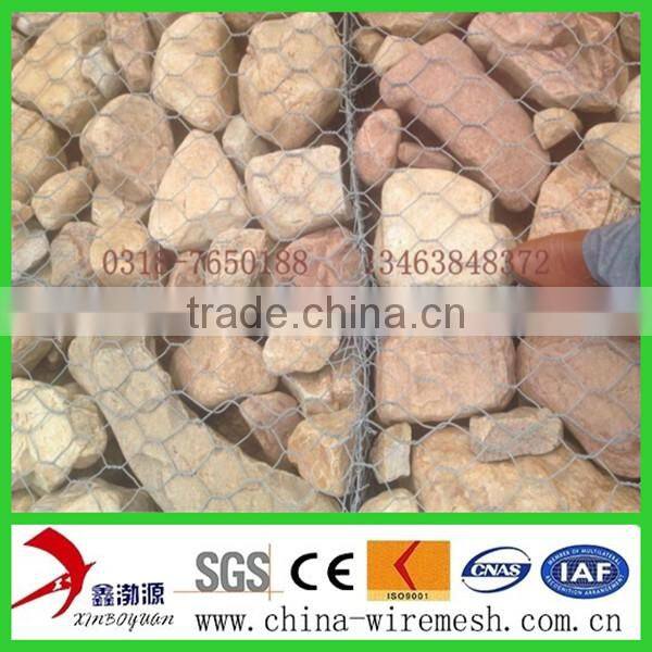 pvc hexagonal netting mesh/hexagonal mesh