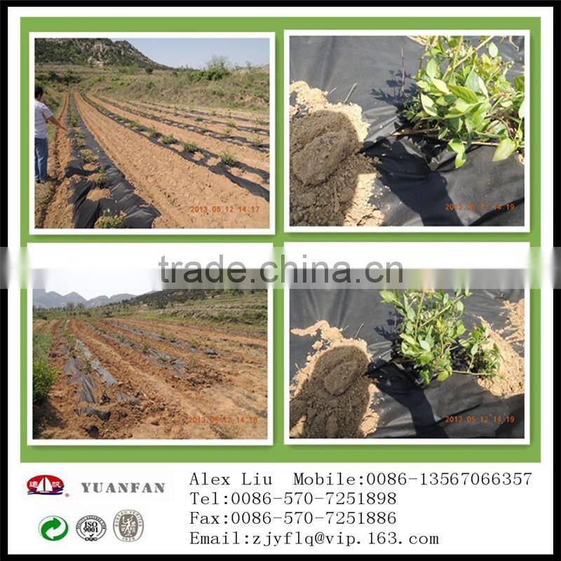 Gardening Use PP Non woven Fabric