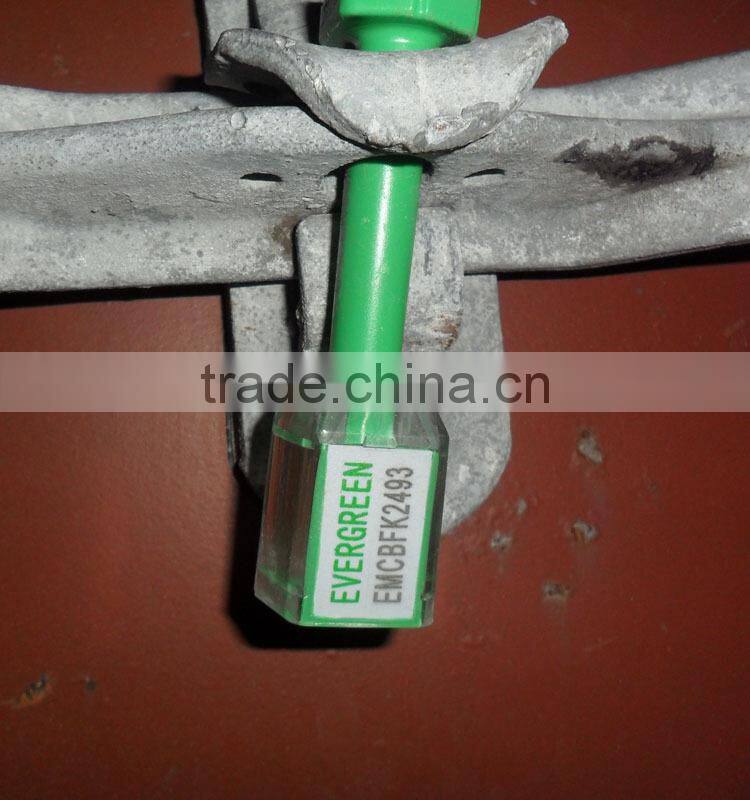 Poultry feed raw materials dried grasshopper