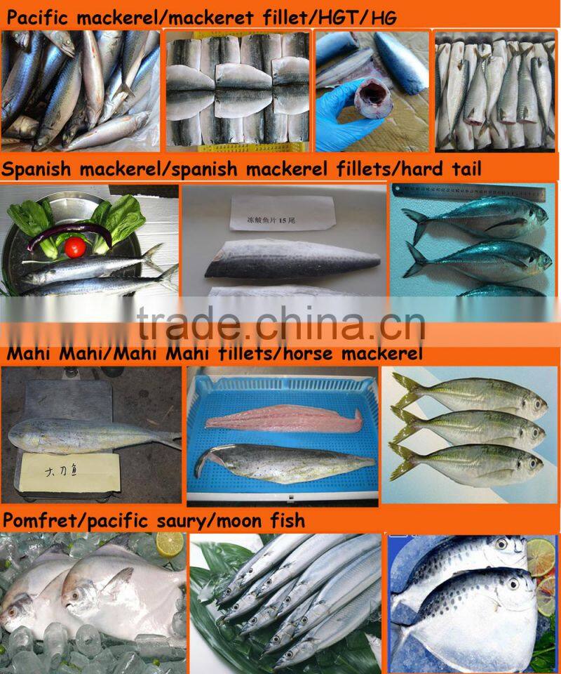 land frozen grey mullet fillet ,skin-on,boneless IQF processing