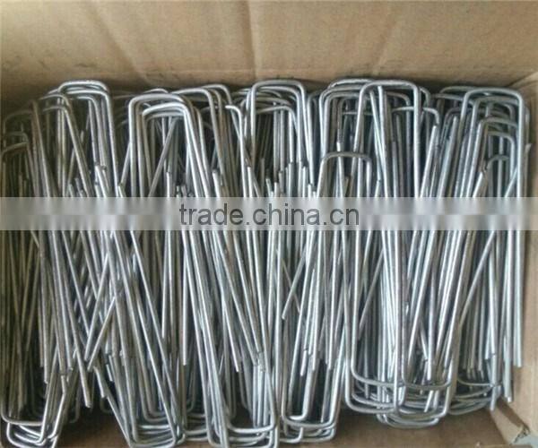 100 Count 6" Landscape Fabric sod Staples