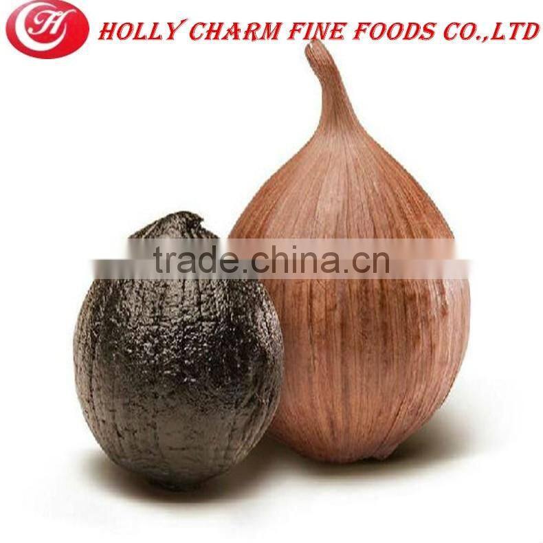 Fair price solo black garlic