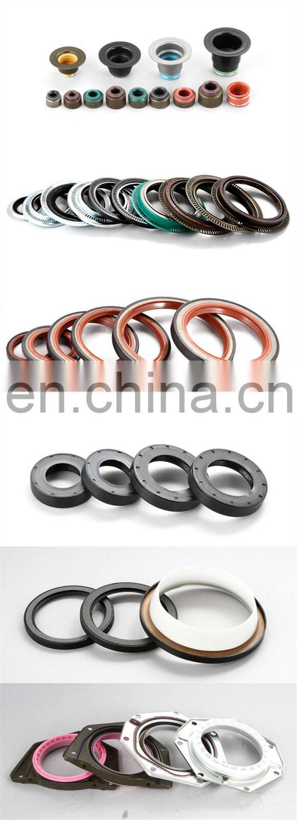 Manufacture Oil Seal Part Motor Oil & Chemical & High Pressure Resistance Double Lips+spring Black/Brown TC Oil Seal