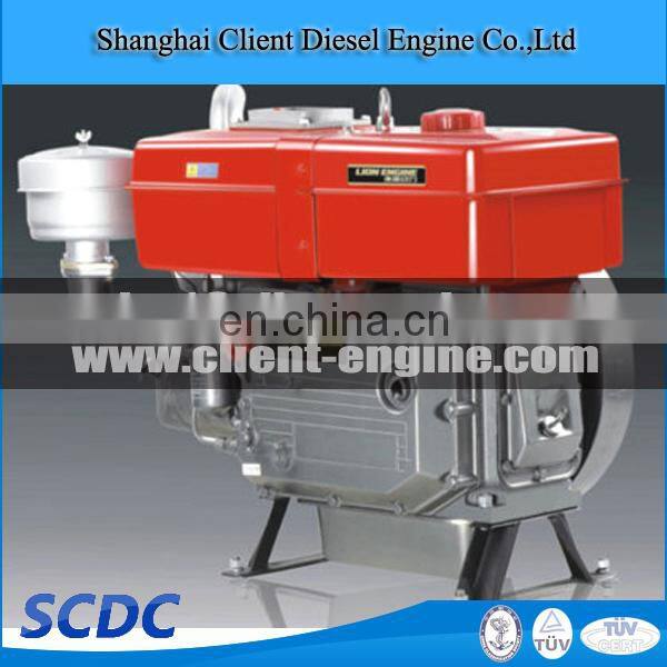 Lion single-cylinder S195 diesel engine