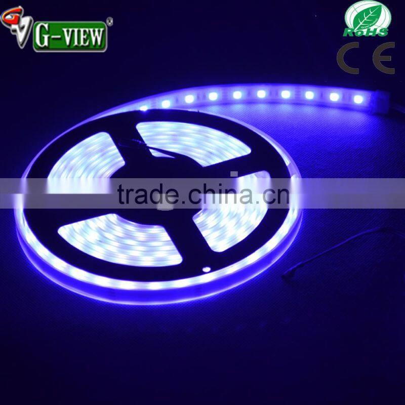 Waterproof 1 year warenty Green led strip Ip68 Led strip light 5050 led strip roll