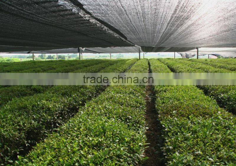 High quality Plain weave sun shade net