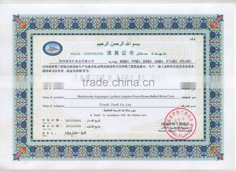 Supply canned vegetables, Canned broad beans in tomato sauce for sale