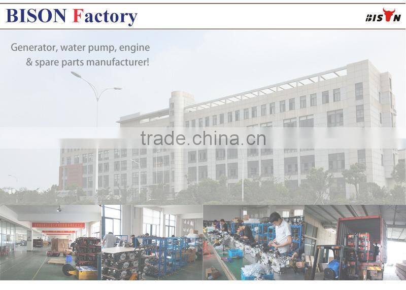 BISON(CHINA) 10kw Output Power Twin Cylinder Air Cooled Open Structure Portable Generator