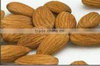 best price for hazelnut shelling machine