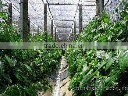 Dark Green Sun Shade Net