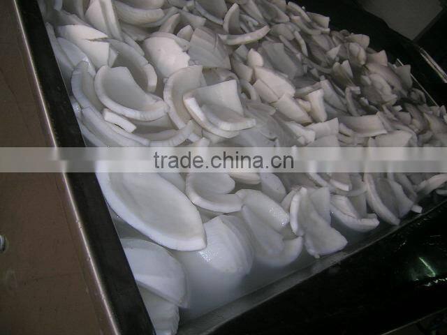 FROZEN COCONUT MEAT