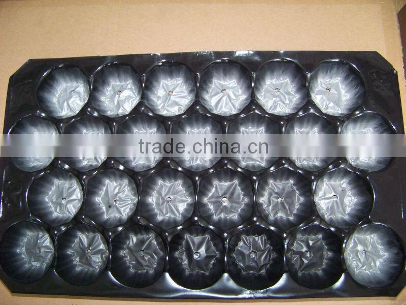 24/25/26/27 Holes Fruit Punnet