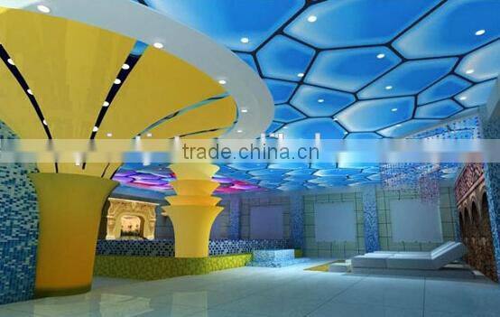 stretch digital indoor seiling material transparent soft film printer