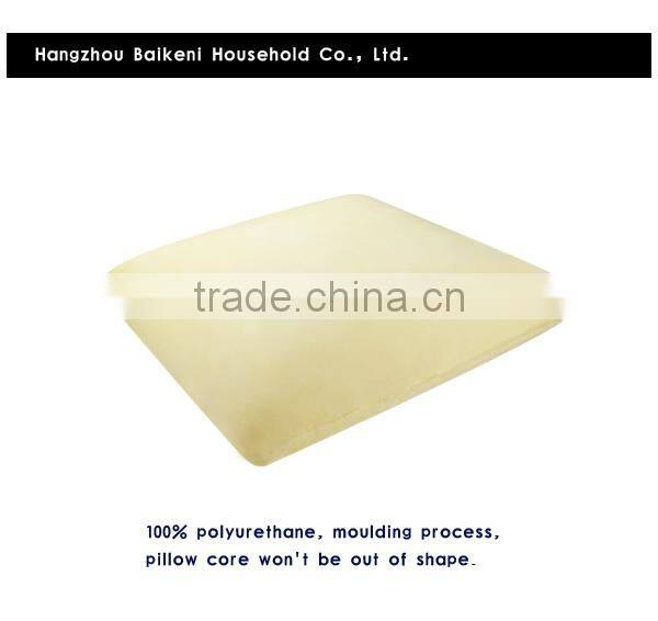 Decorative Throw Pillows Sofa Cushion