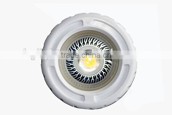 IP68 New plastic body 3W Small LED vinyl pool light