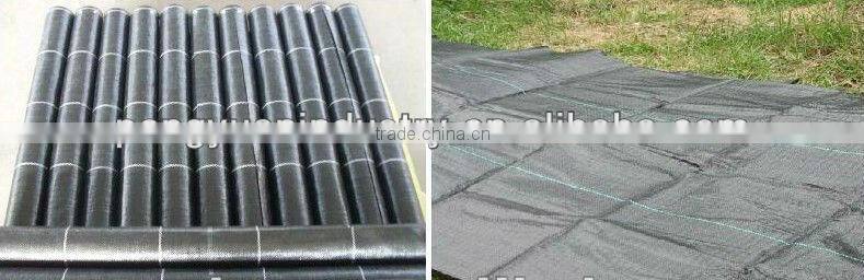 PP woven weed mat/ground cover /black fabric for agriculture