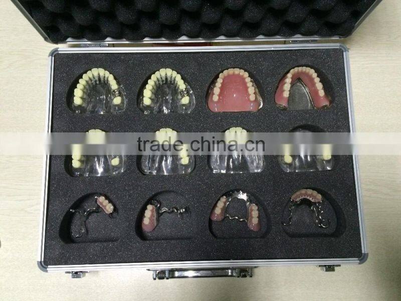 Integrated Denture Model Teaching Demonstration