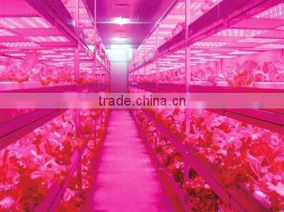 72w led grow light full spectrum grow lighting hydroponic