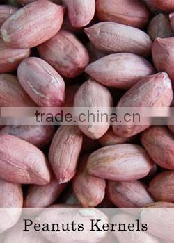 Shine Skin Seeds New Crop